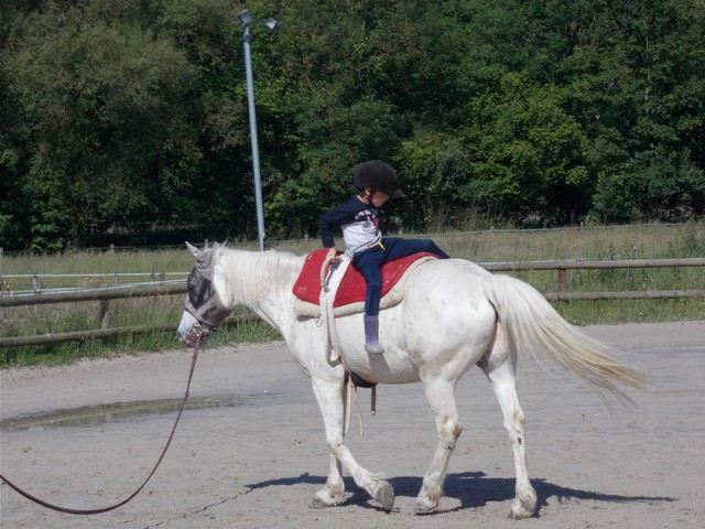 DSCN0207