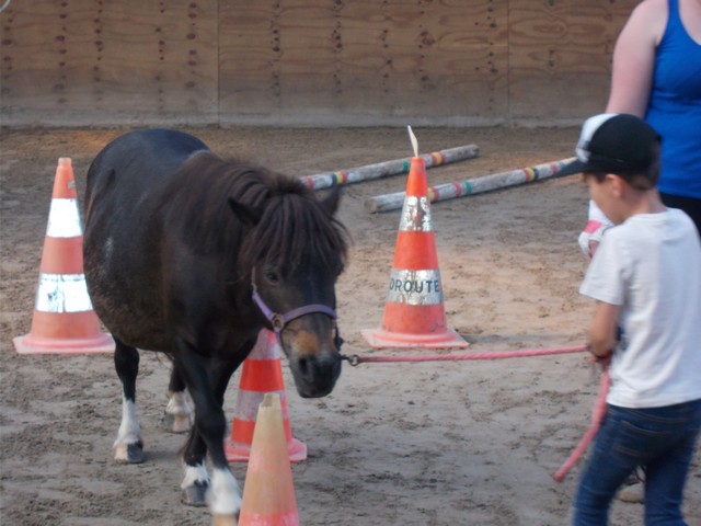 DSCN0258