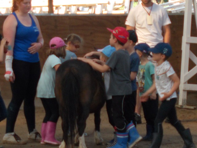 DSCN0260