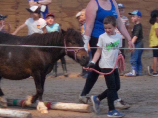 DSCN0319