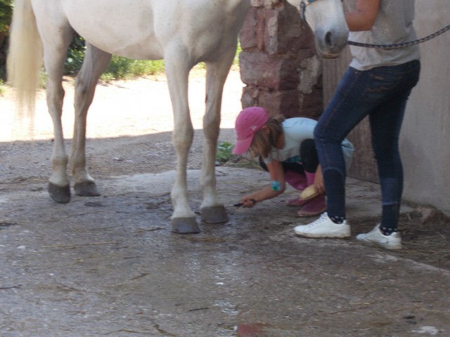 DSCN0340